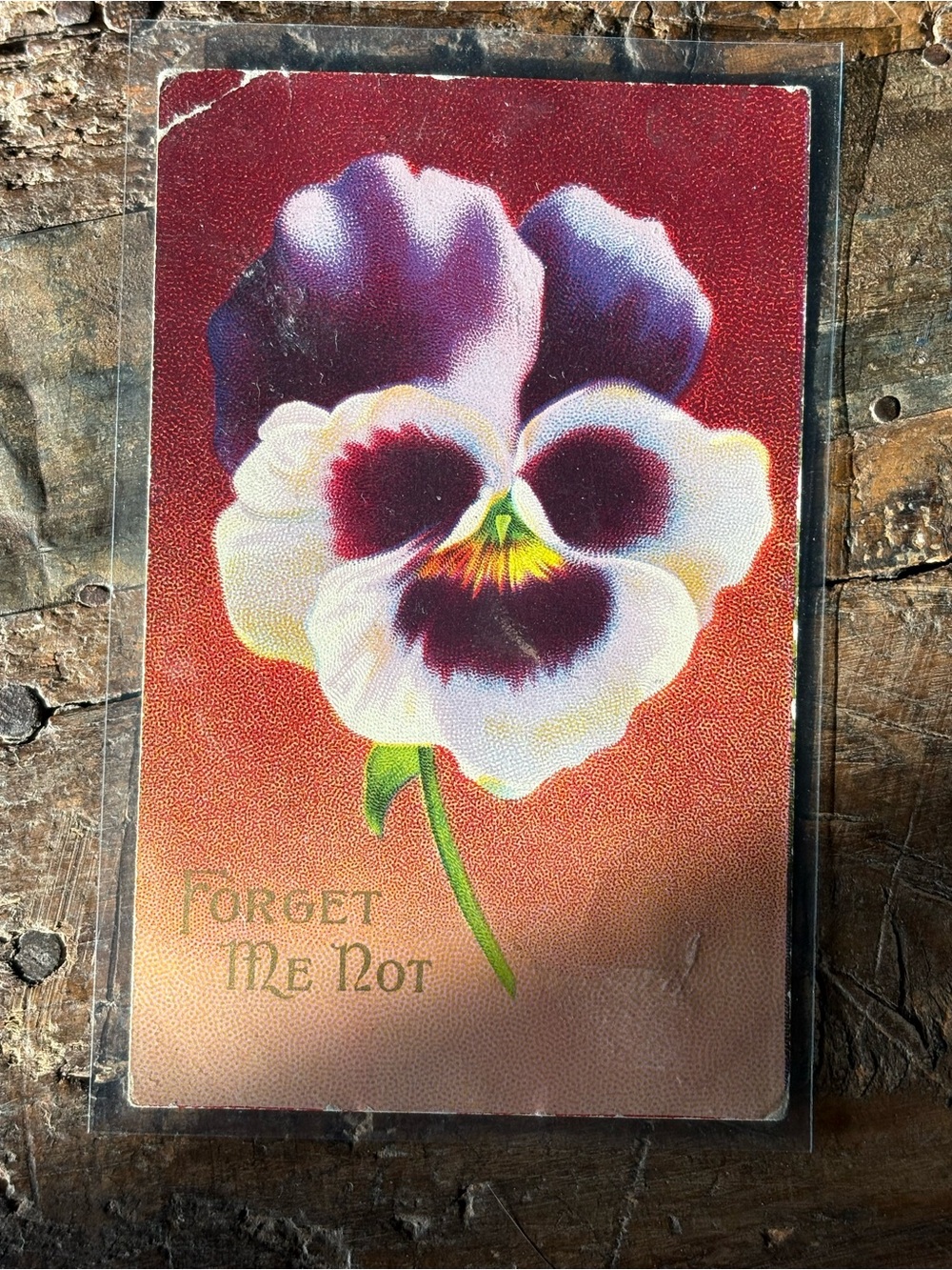 Vintage Forget Me Not postcard with one cent stamp